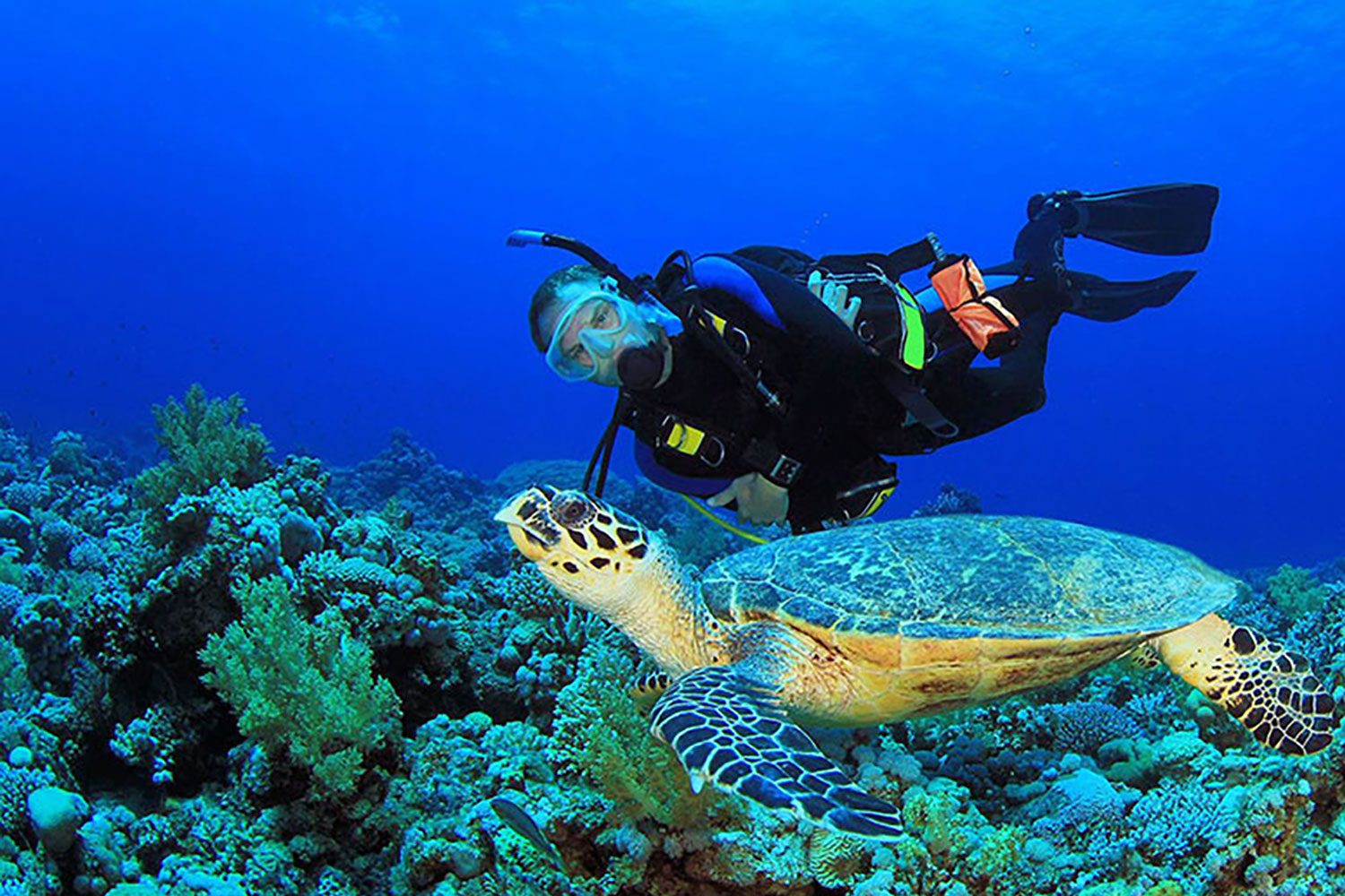 Scuba Diving Experience Belize