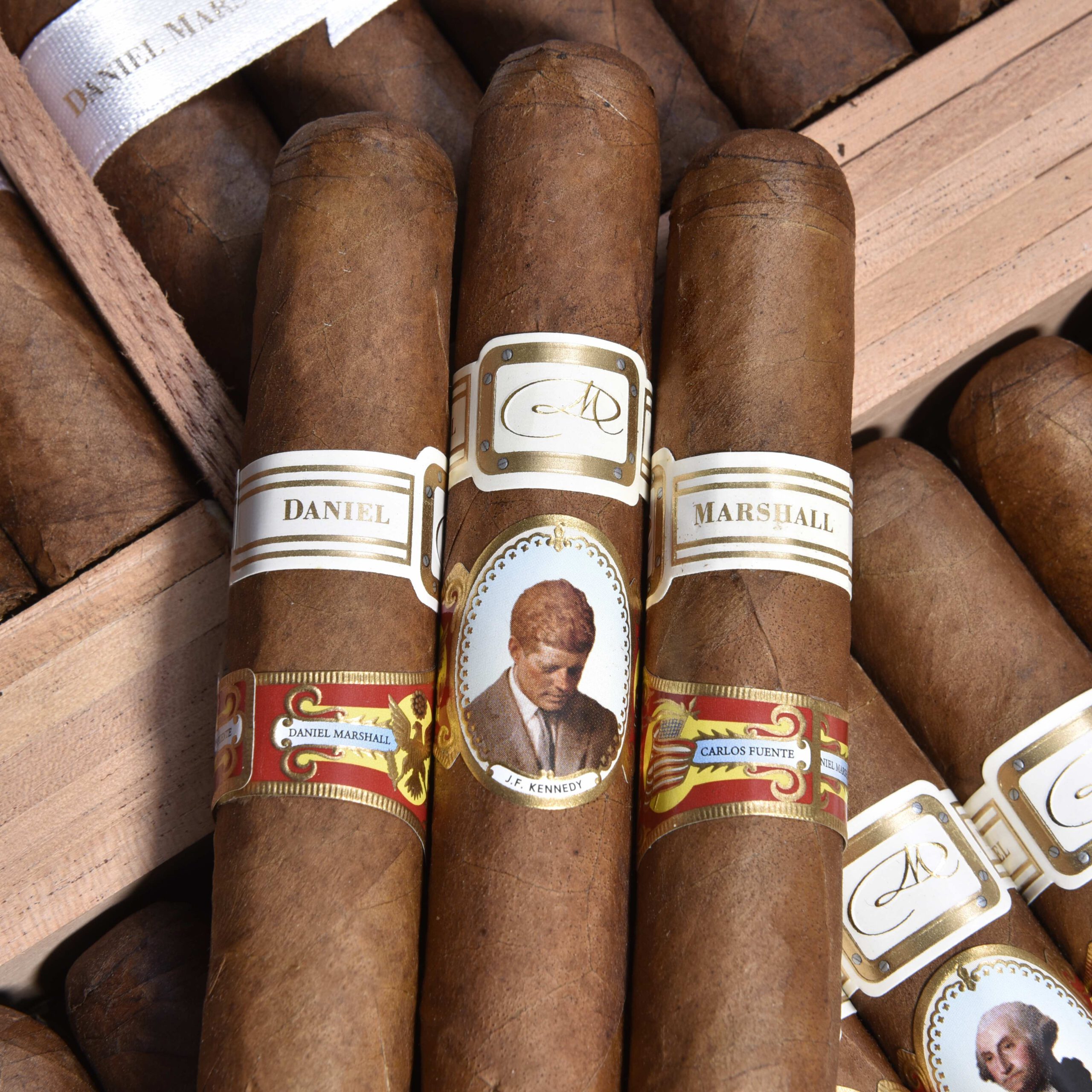 both wings band DM-WhiteHouse